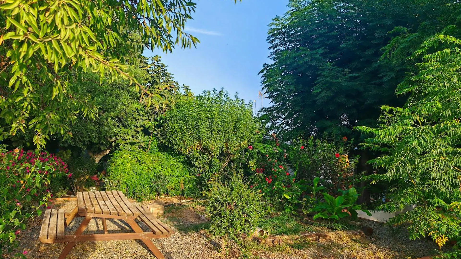 La Casita De Los Alambiques Chiclana de la Frontera Spain